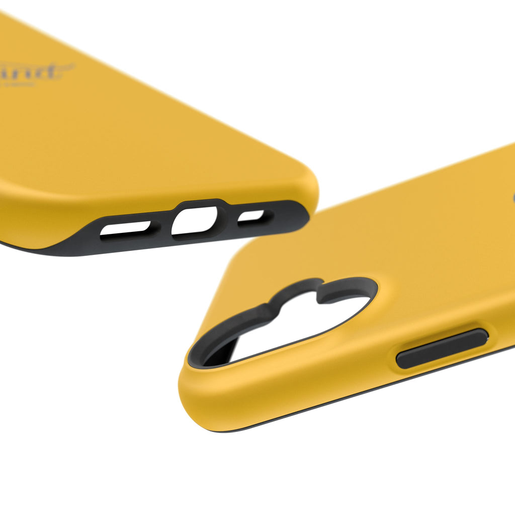 Impact-Resistant Cases