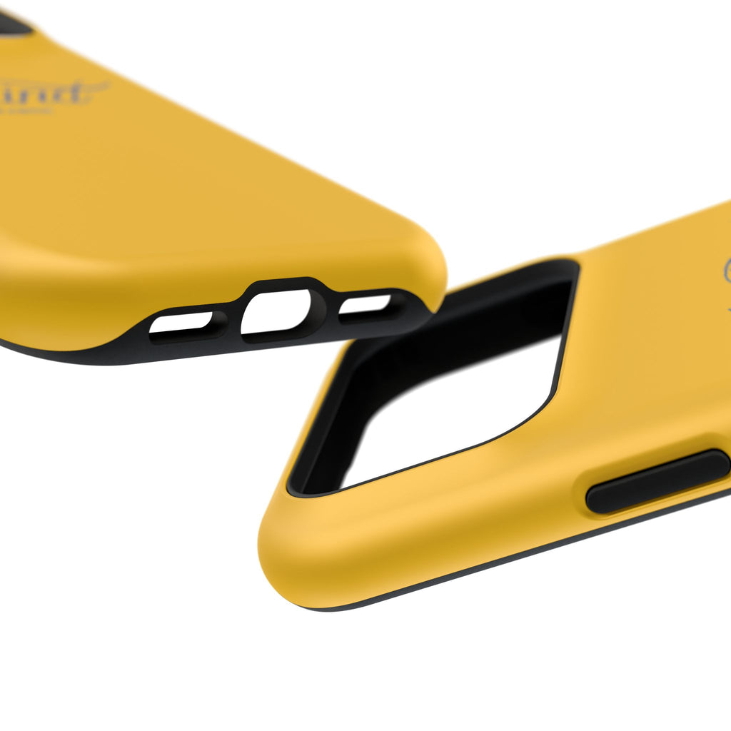 Impact-Resistant Cases