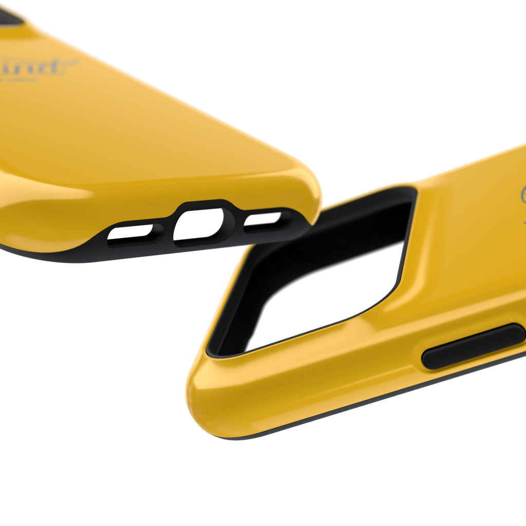Impact-Resistant Cases